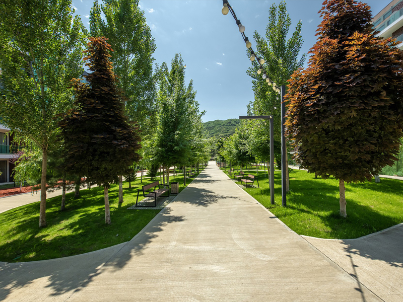 Bike and Walking Paths