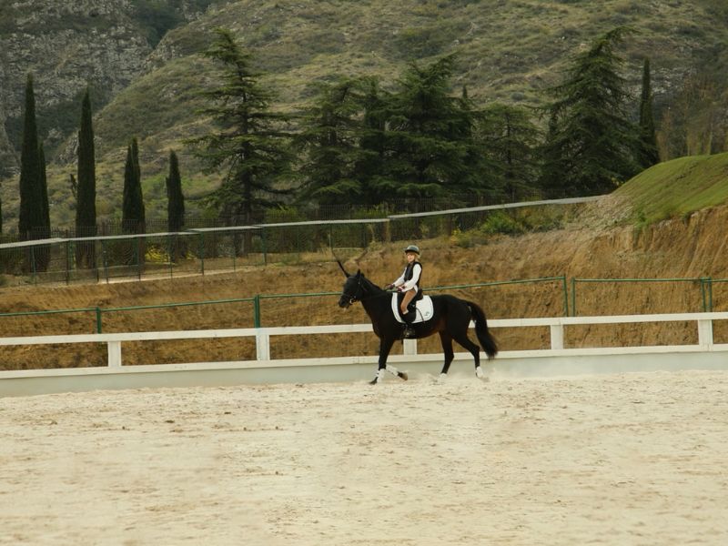 Horse Riding