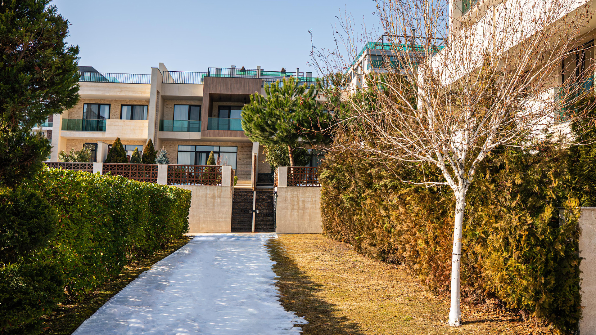 Previous image